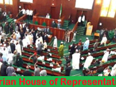 NIGERIA: Supreme Court Judgement on Section 84(12) Victory for Democracy, Says House